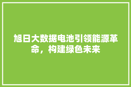 旭日大数据电池引领能源革命，构建绿色未来