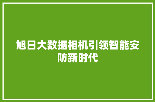 旭日大数据相机引领智能安防新时代