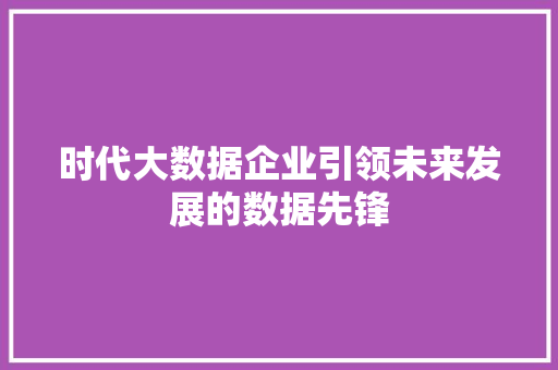 时代大数据企业引领未来发展的数据先锋