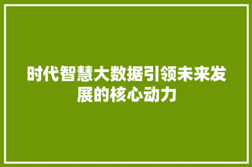 时代智慧大数据引领未来发展的核心动力