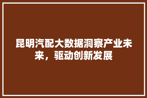 昆明汽配大数据洞察产业未来,驱动创新发展 昆明汽配大数据洞察产业未来,驱动创新发展