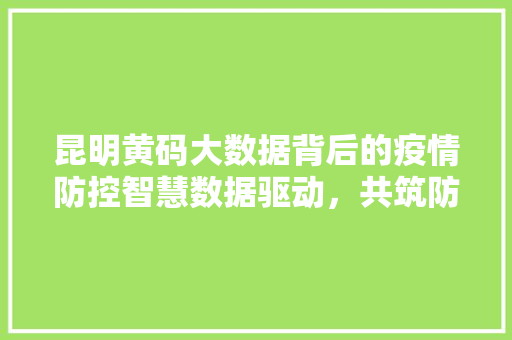 昆明黄码大数据背后的疫情防控智慧数据驱动,共筑防线 昆明黄码大数据背后的疫情防控智慧数据驱动,共筑防线