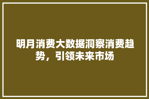 明月消费大数据洞察消费趋势，引领未来市场
