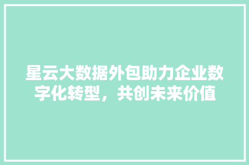 星云大数据外包助力企业数字化转型，共创未来价值