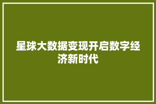 星球大数据变现开启数字经济新时代