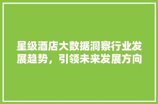 星级酒店大数据洞察行业发展趋势，引领未来发展方向