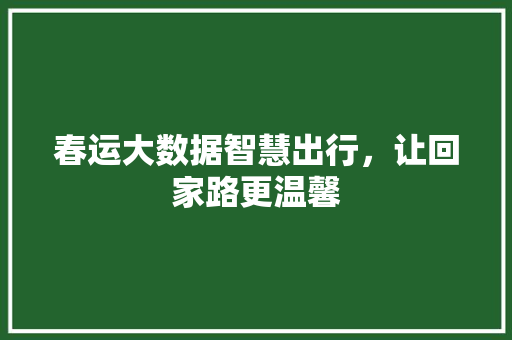 春运大数据智慧出行，让回家路更温馨
