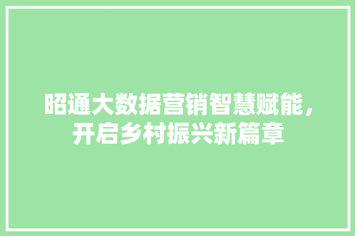 昭通大数据营销智慧赋能，开启乡村振兴新篇章