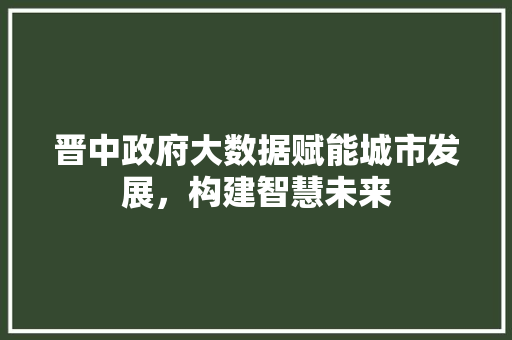 晋中政府大数据赋能城市发展，构建智慧未来