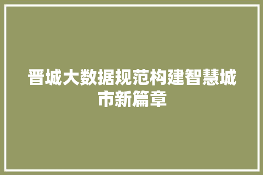 晋城大数据规范构建智慧城市新篇章