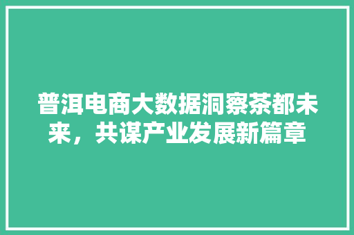 普洱电商大数据洞察茶都未来,共谋产业发展新篇章 普洱电商大数据洞察茶都未来,共谋产业发展新篇章