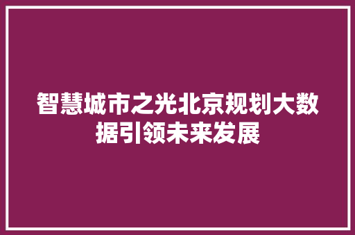 智慧城市之光北京规划大数据引领未来发展