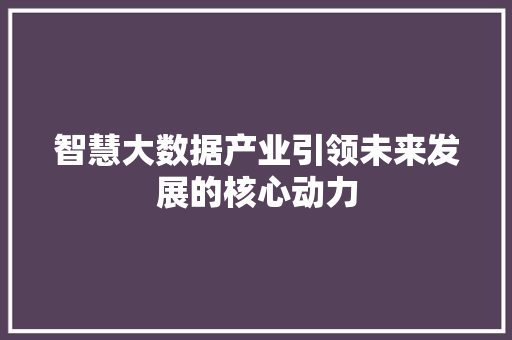 智慧大数据产业引领未来发展的核心动力