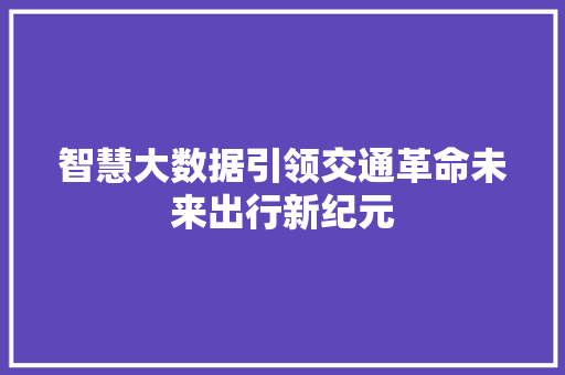 智慧大数据引领交通革命未来出行新纪元