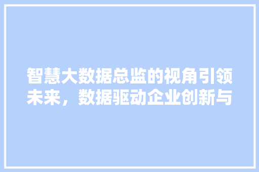 智慧大数据总监的视角引领未来，数据驱动企业创新与发展