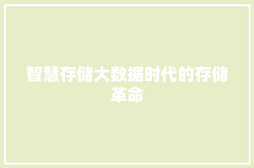 智慧存储大数据时代的存储革命