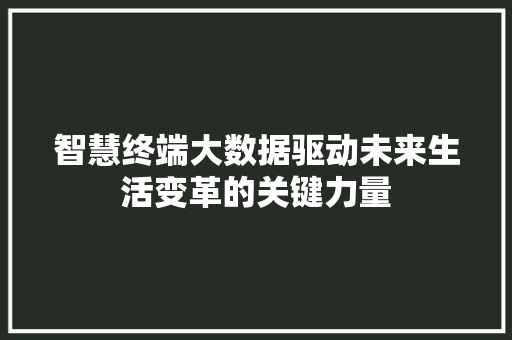智慧终端大数据驱动未来生活变革的关键力量