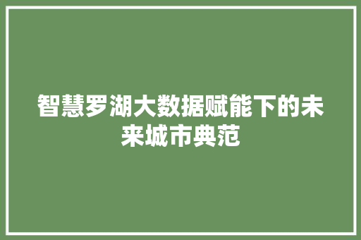 智慧罗湖大数据赋能下的未来城市典范