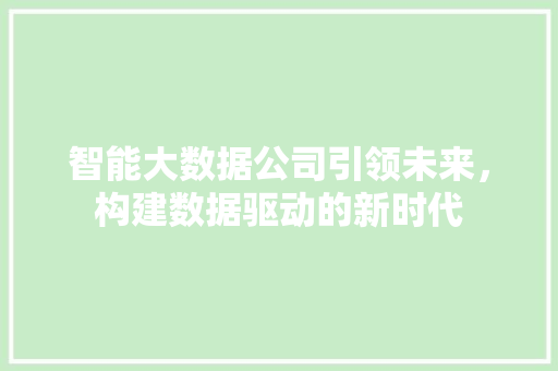 智能大数据公司引领未来,构建数据驱动的新时代 智能大数据公司引领未来,构建数据驱动的新时代