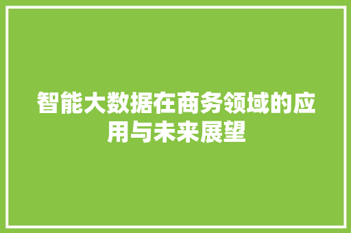 智能大数据在商务领域的应用与未来展望 智能大数据在商务领域的应用与未来展望