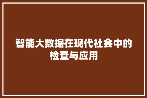 智能大数据在现代社会中的检查与应用 智能大数据在现代社会中的检查与应用