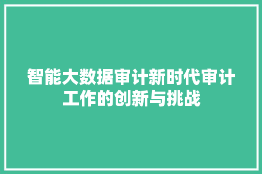 智能大数据审计新时代审计工作的创新与挑战 智能大数据审计新时代审计工作的创新与挑战