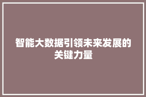 智能大数据引领未来发展的关键力量 智能大数据引领未来发展的关键力量