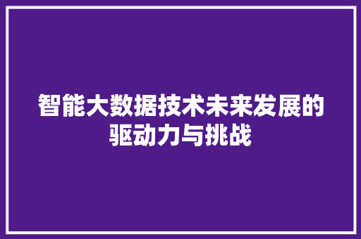 智能大数据技术未来发展的驱动力与挑战 智能大数据技术未来发展的驱动力与挑战