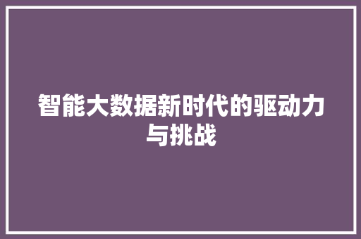 智能大数据新时代的驱动力与挑战