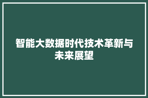 智能大数据时代技术革新与未来展望