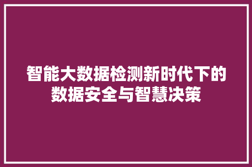 智能大数据检测新时代下的数据安全与智慧决策