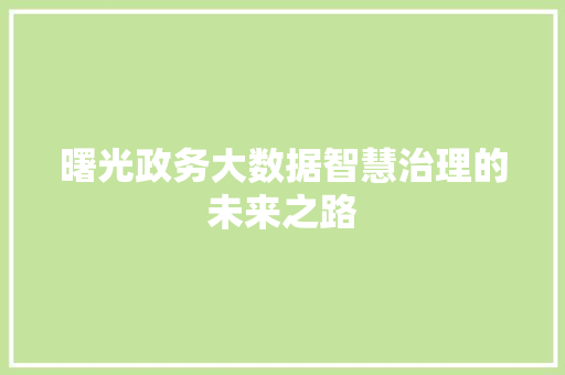 曙光政务大数据智慧治理的未来之路
