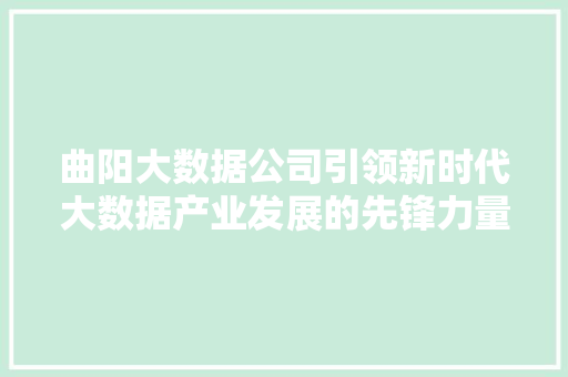 曲阳大数据公司引领新时代大数据产业发展的先锋力量