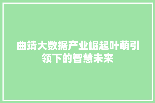 曲靖大数据产业崛起叶萌引领下的智慧未来
