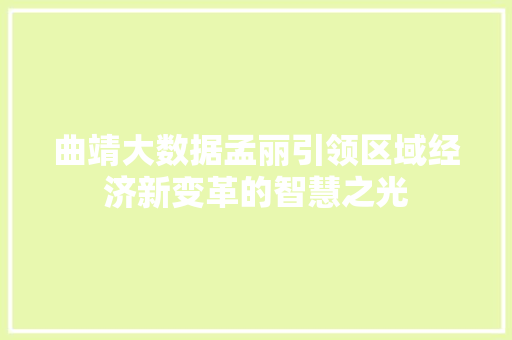 曲靖大数据孟丽引领区域经济新变革的智慧之光