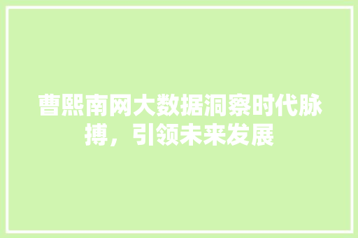 曹熙南网大数据洞察时代脉搏，引领未来发展