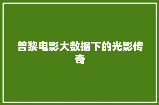 曾黎电影大数据下的光影传奇