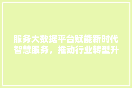 服务大数据平台赋能新时代智慧服务，推动行业转型升级