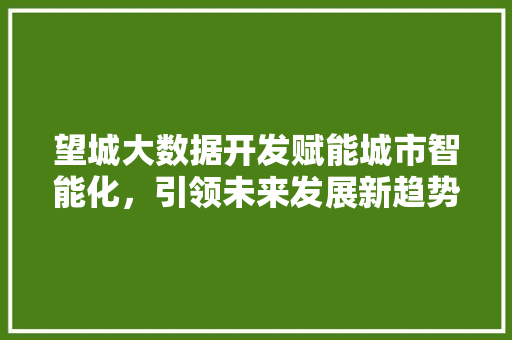 望城大数据开发赋能城市智能化，引领未来发展新趋势
