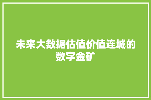 未来大数据估值价值连城的数字金矿