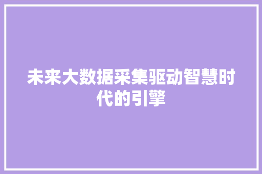 未来大数据采集驱动智慧时代的引擎