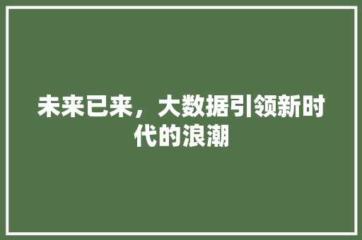未来已来，大数据引领新时代的浪潮