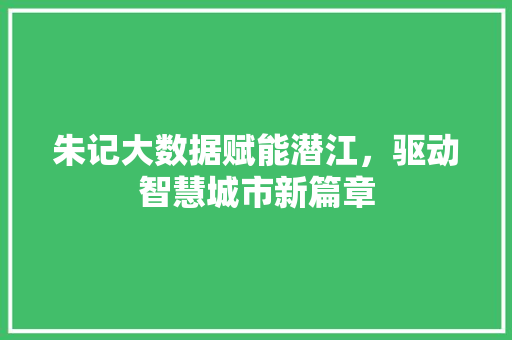 朱记大数据赋能潜江，驱动智慧城市新篇章