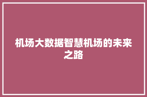 机场大数据智慧机场的未来之路