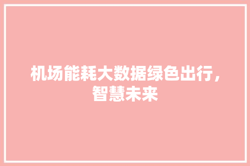 机场能耗大数据绿色出行，智慧未来