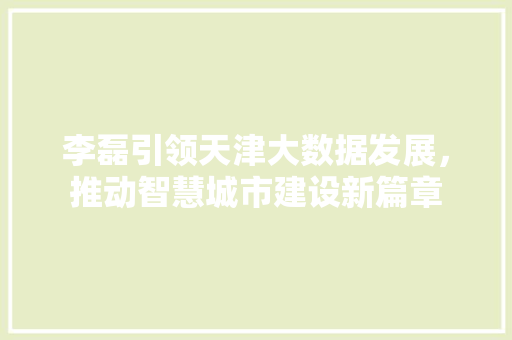 李磊引领天津大数据发展，推动智慧城市建设新篇章