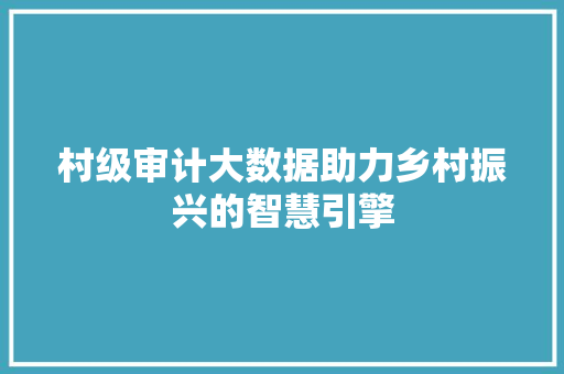 村级审计大数据助力乡村振兴的智慧引擎