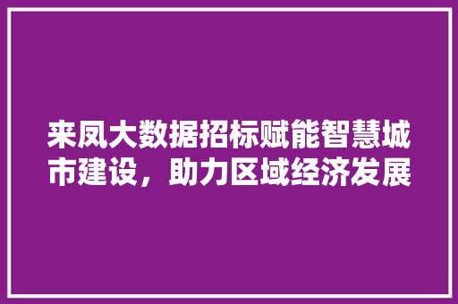 来凤大数据招标赋能智慧城市建设，助力区域经济发展新篇章