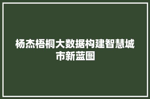杨杰梧桐大数据构建智慧城市新蓝图