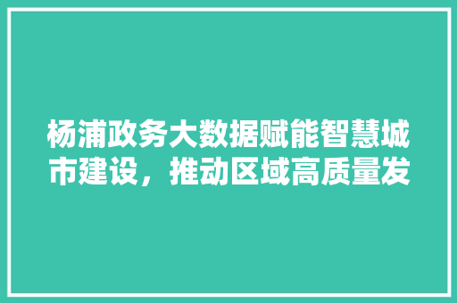 杨浦政务大数据赋能智慧城市建设，推动区域高质量发展